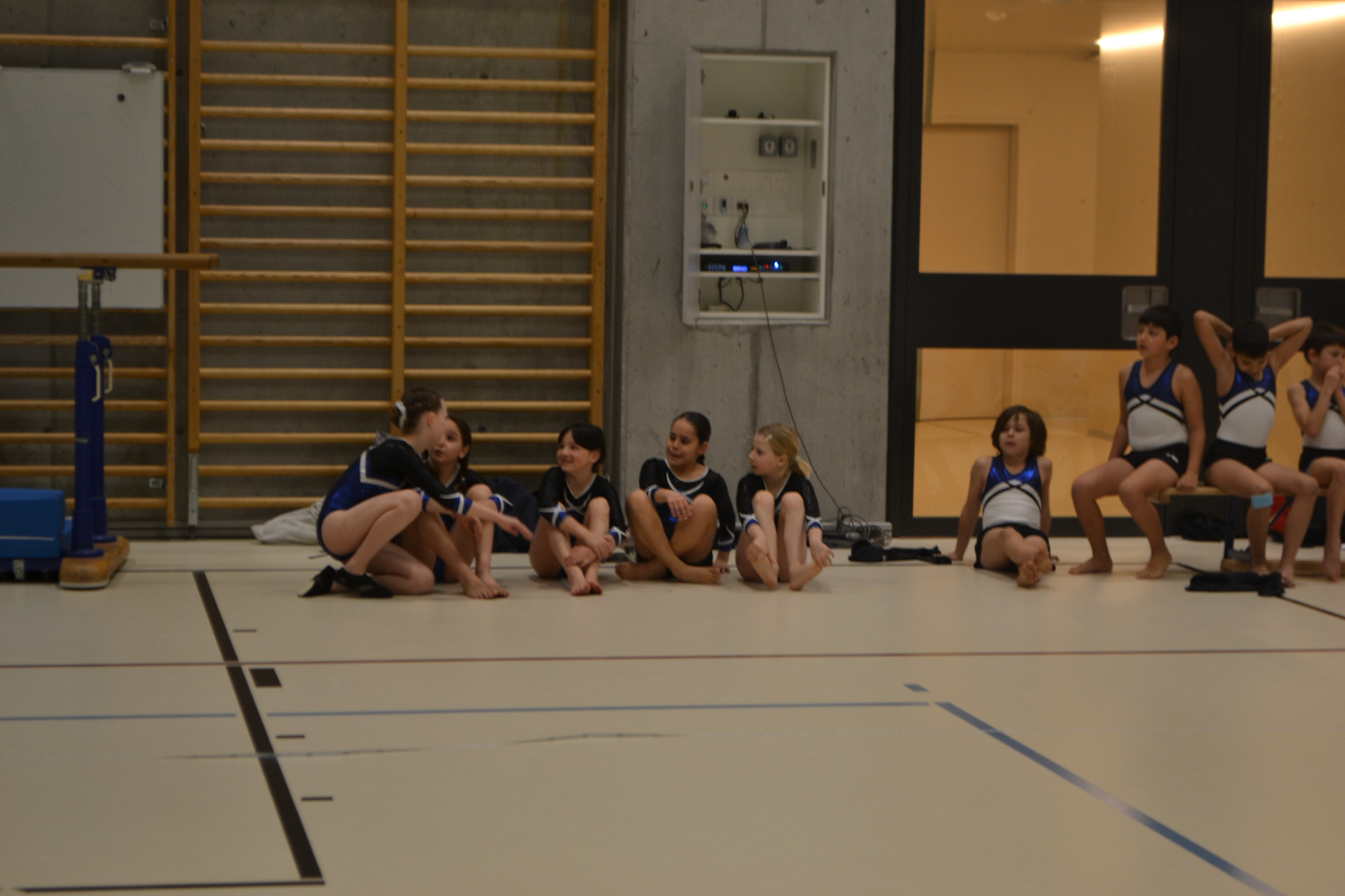Bild1 (5)
